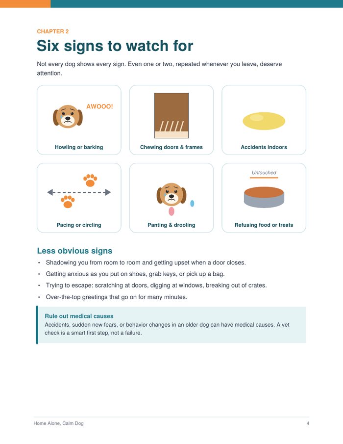 Page showing six signs of alone-time stress in dogs